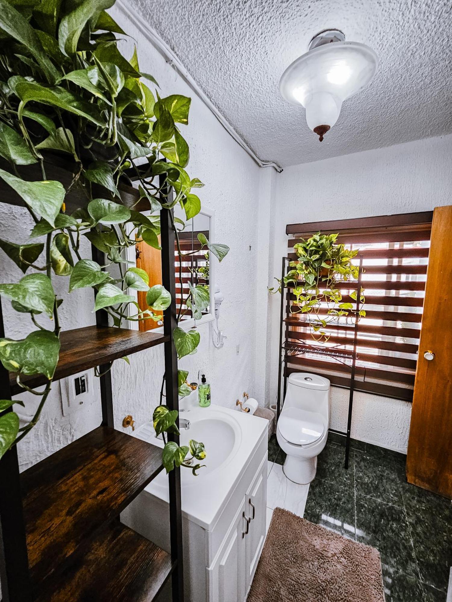 Habitacion Con Bano Privado B, Centro De Coyoacan México DF Exterior foto
